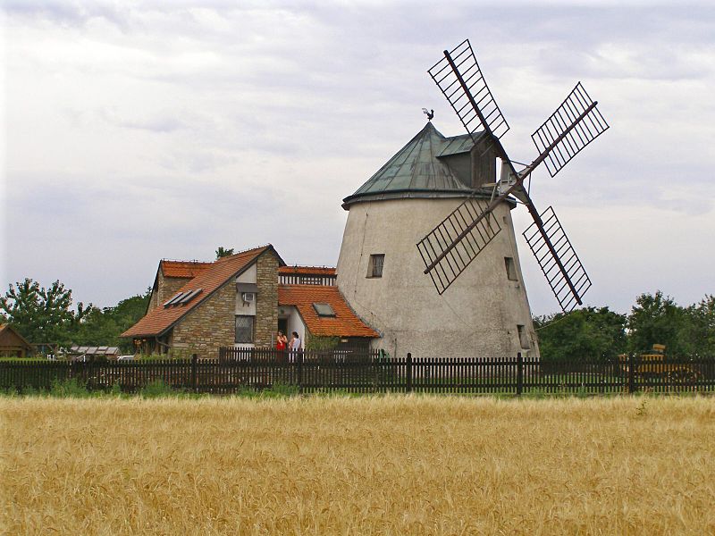 Vyklízení Lesná